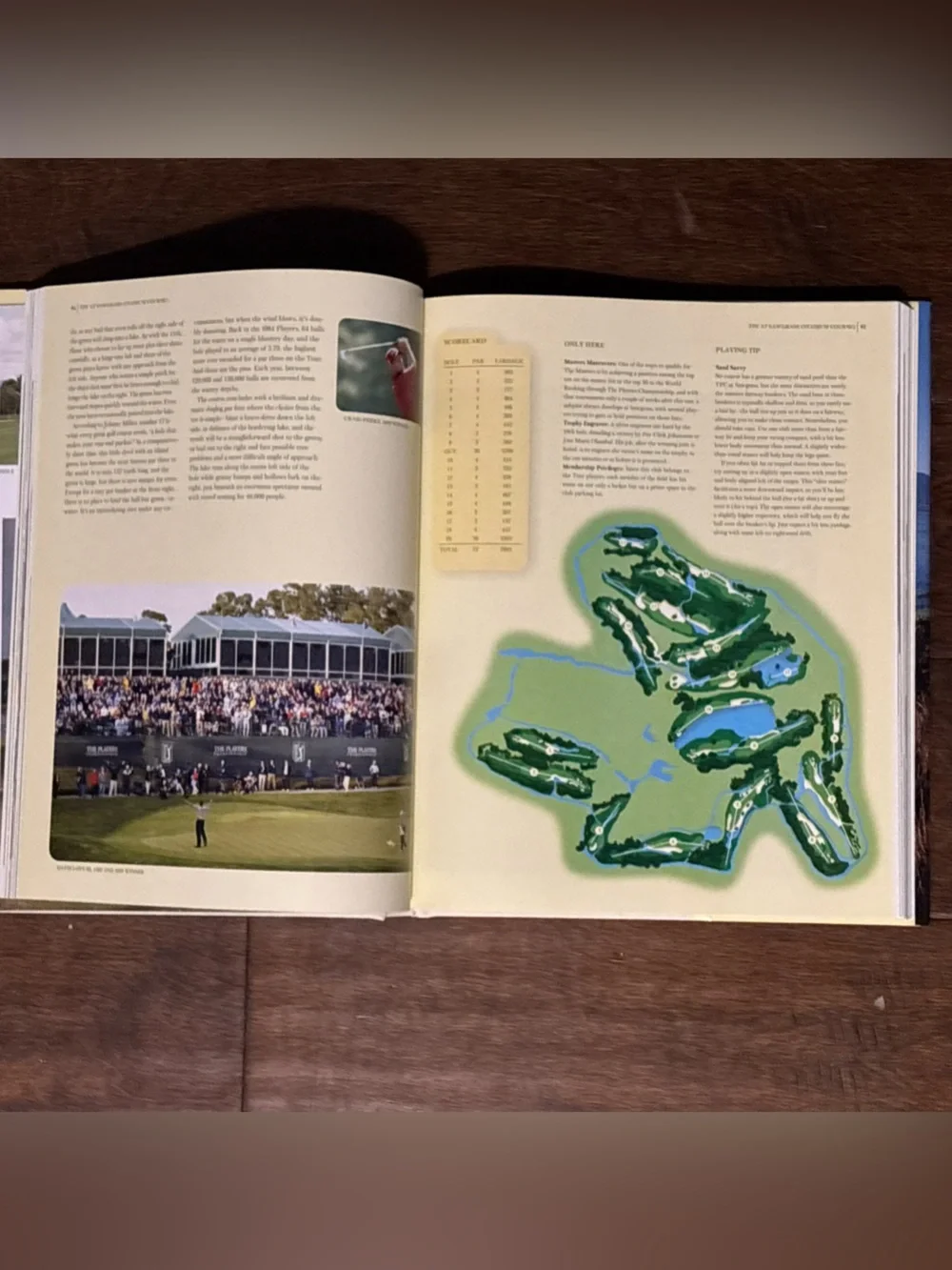Golf Courses of the PGA Tour Wall Art - Sunset Brown and Green